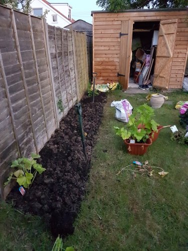 flowerbed.thumb.jpg.c7414f5debfb614c4ae09921988e4a2c.jpg