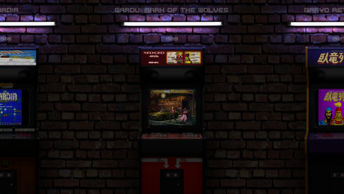 Arcade-MAME-Library.thumb.png.b3fb719b192624141f9c8cadbfb9d3ea.png