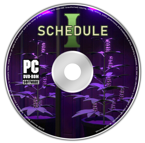 Schedule I.png
