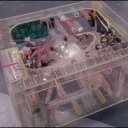 orac31