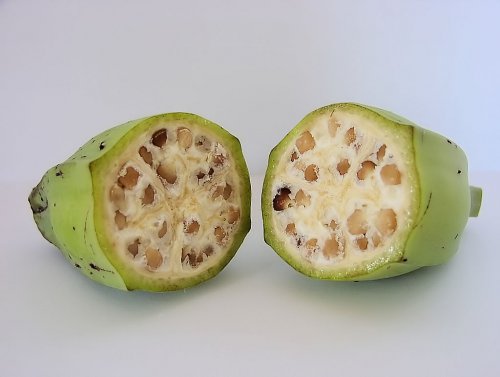 1024px-Inside_a_wild-type_banana.jpg