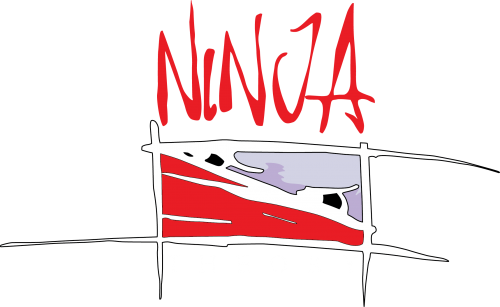 Ninja Theory.png