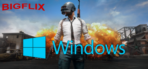 Microsoft windows.png