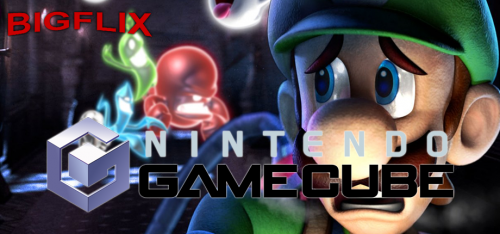 Nintendo gamecube.png