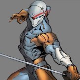 GrayFoxNinja