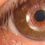 EyeQue