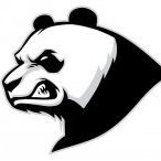 Mad Panda