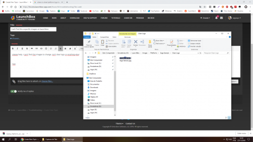 Captura de Tela (23).png