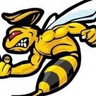 HutchyBee
