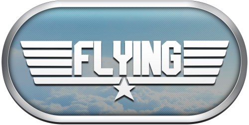 Arcade Flying Games.png