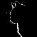 Nihilhem