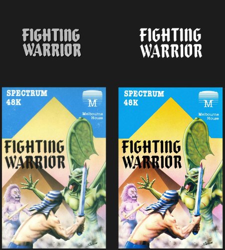 Fighitng Warrior.jpg