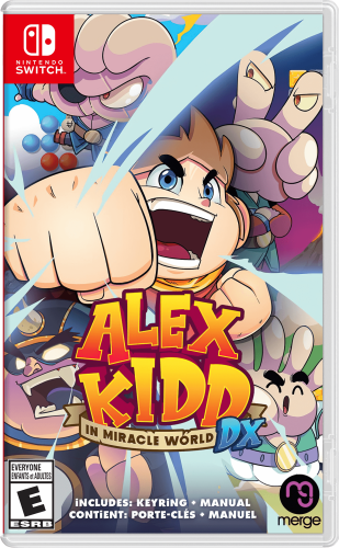 More information about "Nintendo Switch 2D Boxart"