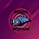 BrunoBrummi
