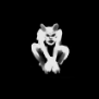 Cxngx