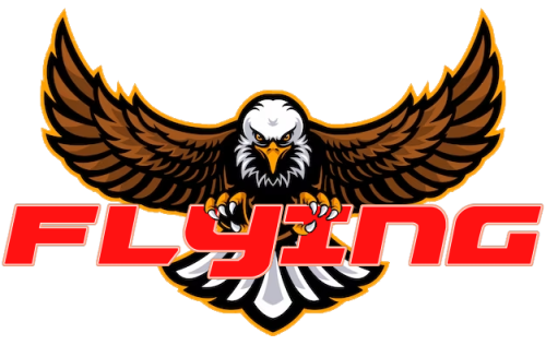 More information about "Flying Playlist Clear Logo"