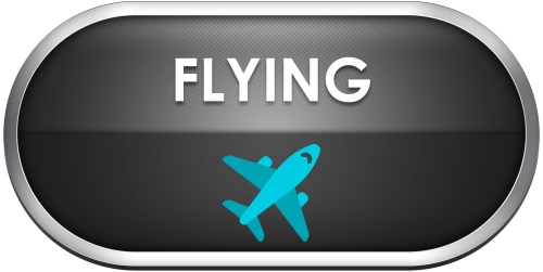 Flying.thumb.png.39f1c80fcaf554676855b28bc2f9d7aa.png