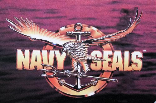 NavySeals.jpg
