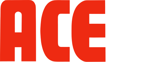 ACE 2 Air Combat Emulator Large v2.png