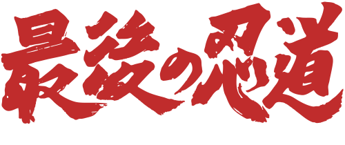 Ninja Spirit small.png