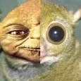 marqueemoon