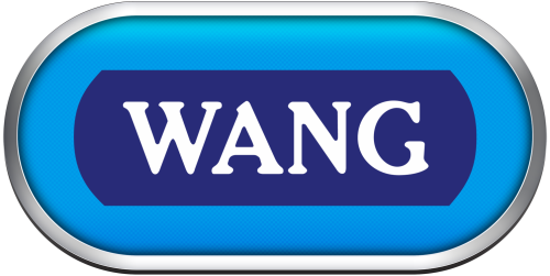 wang professional computer.png