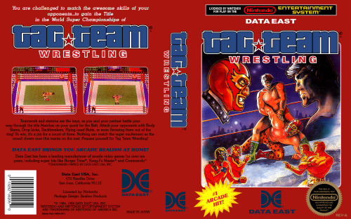 Tag Team Wrestling (USA).png