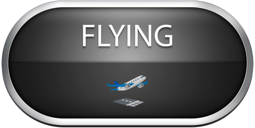 Flying.thumb.png.9d622ad50ca800cee27e0e8e2d02786e.png