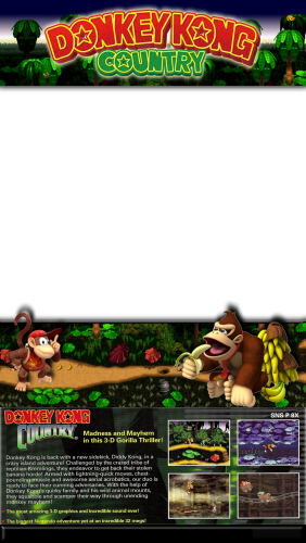 DKC1.png