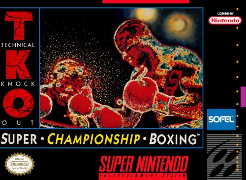 TKO Super Championship Boxing-01.jpg