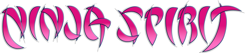 Ninja Spirit (USA).png