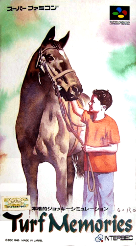 Turf Memories (Japan).png