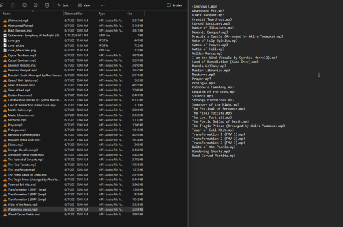 2026-01-11 21_35_42-Castlevania - Symphony of the Night (USA).m3u - Notepad.png