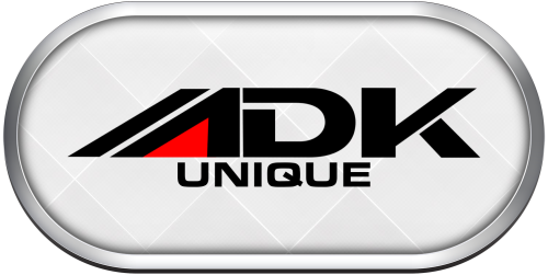 Arcade Alpha Denshi Unique.png