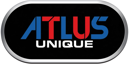 Arcade Atlus Unique.png
