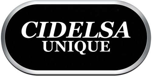 Arcade Cidelsa Unique.png