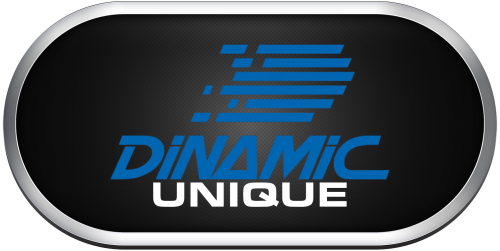 Arcade Dinamic Unique.png