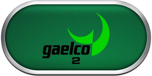 Arcade Gaelco 2.png