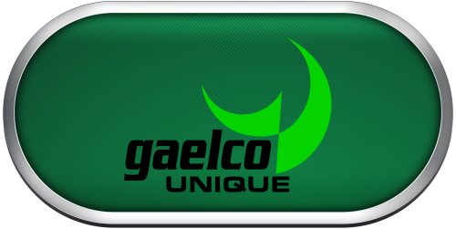 Arcade Gaelco Unique.png