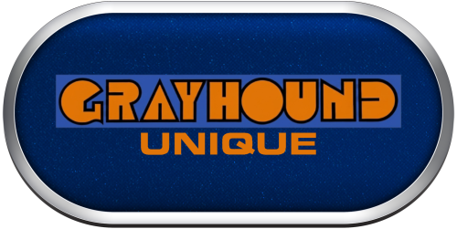 Arcade Grayhound Electronics Unique.png