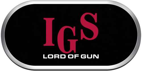 Arcade IGS Lord of Gun.png