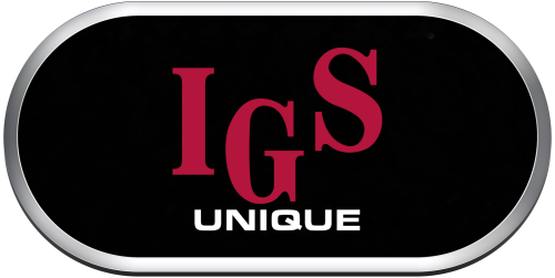 Arcade IGS Unique.png