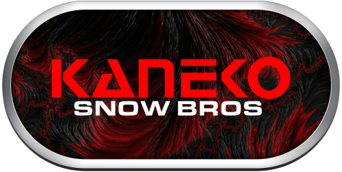 Arcade Kaneko Snow Bros.png