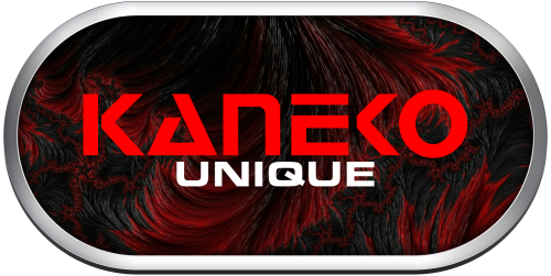 Arcade Kaneko Unique.png
