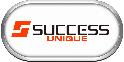 Arcade Success Unique.png
