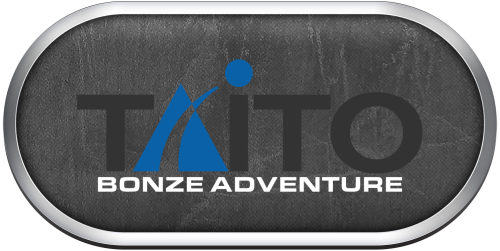 Arcade Taito Bonze Adventure.png