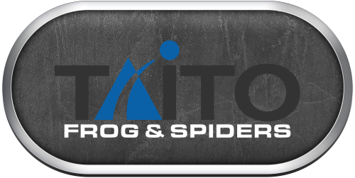 Arcade Taito Frog & Spiders.png