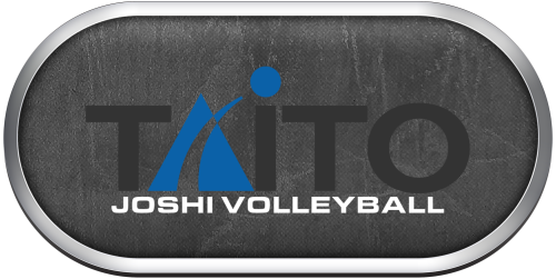 Arcade Taito Joshi Volleyball.png