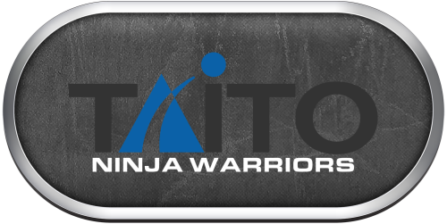 Arcade Taito Ninja Warriors.png