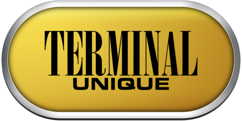 Arcade Terminal Unique.png